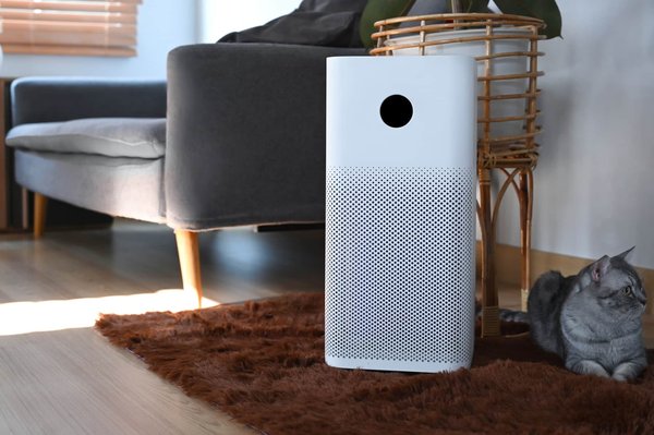 Purificateur d'air : quel modèle d'appareil choisir ?